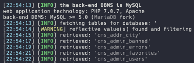 Penetration Testing